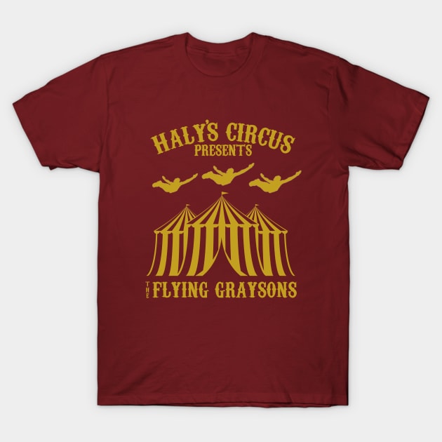 The Flying Graysons T-Shirt by GradientPowell